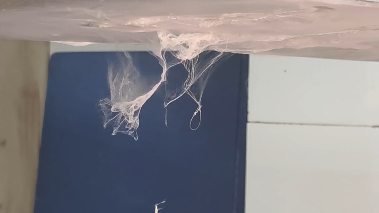 Electrospinning: Solutions of Polystyrene and Polyvinylidene Difluoride in Dimethylformamide